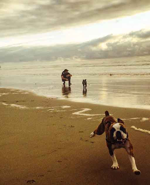 beach
