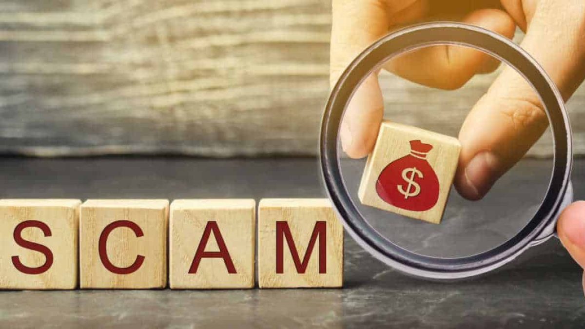 seo-scam